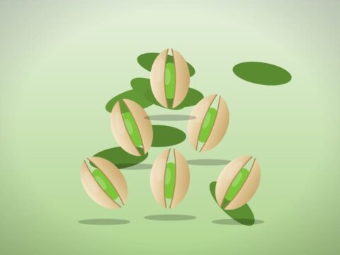 پسته احمدآقایی انس ۳۰ تازه برداشت
