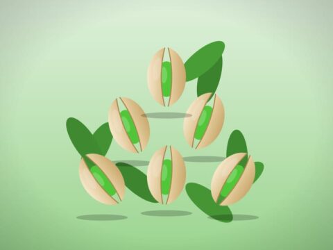 پسته کله‌قوچی انس ۲۸ خندان