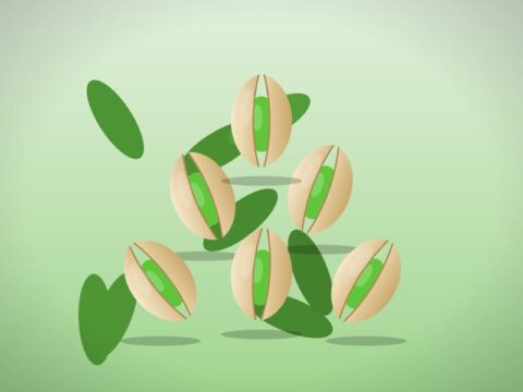پسته خام و خشک، فروش کیلویی مستقیم از باغ