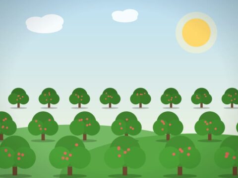باغ پسته ۵ هکتاری بارور، چاه آب‌دار