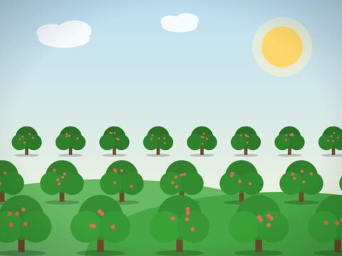 استخدام کارگر ماهر باغبانی، سرویس و نهار